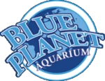 blueplanetaquarium.com
